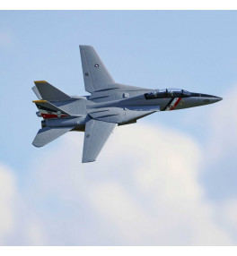 E-FLITE F-14 Tomcat Twin 40mm EDF BNF EFL01450