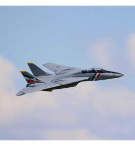 E-FLITE F-14 Tomcat Twin...