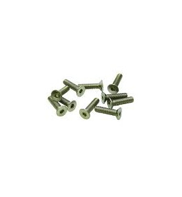 Vis FHC M3x10mm (x10)