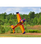 EXTREME FLIGHT EXTRA 300 V2...