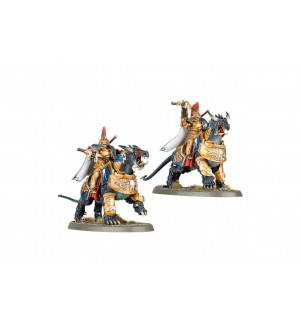 WARHAMMER AGE OF SIGMAR GARDE SUR DRACOTH 96-24