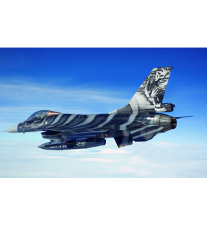 REVELL  SET OTAN TIGER MEET 60ÈME ANNIV + STARTER KIT ECH :1/72 05671