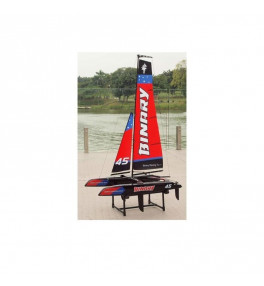 JOYSWAY Binary catamaran RTR 8807R