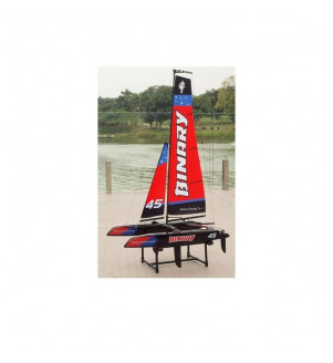 JOYSWAY Binary catamaran RTR 8807R