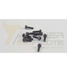 VIS CYL 6PAN M3X10