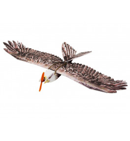 DANCING WINGS HOBBY E19 eagle 2 E1904