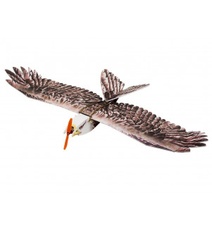 DANCING WINGS HOBBY E19 eagle 2 E1904